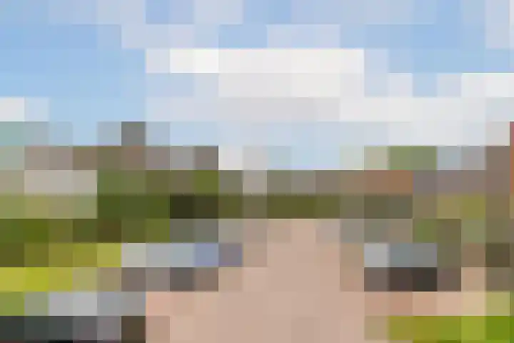 Verbrande Erven 6 Schiedam thumbnail 47