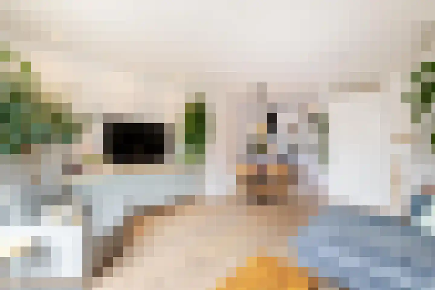Verbrande Erven 8 Schiedam thumbnail 12