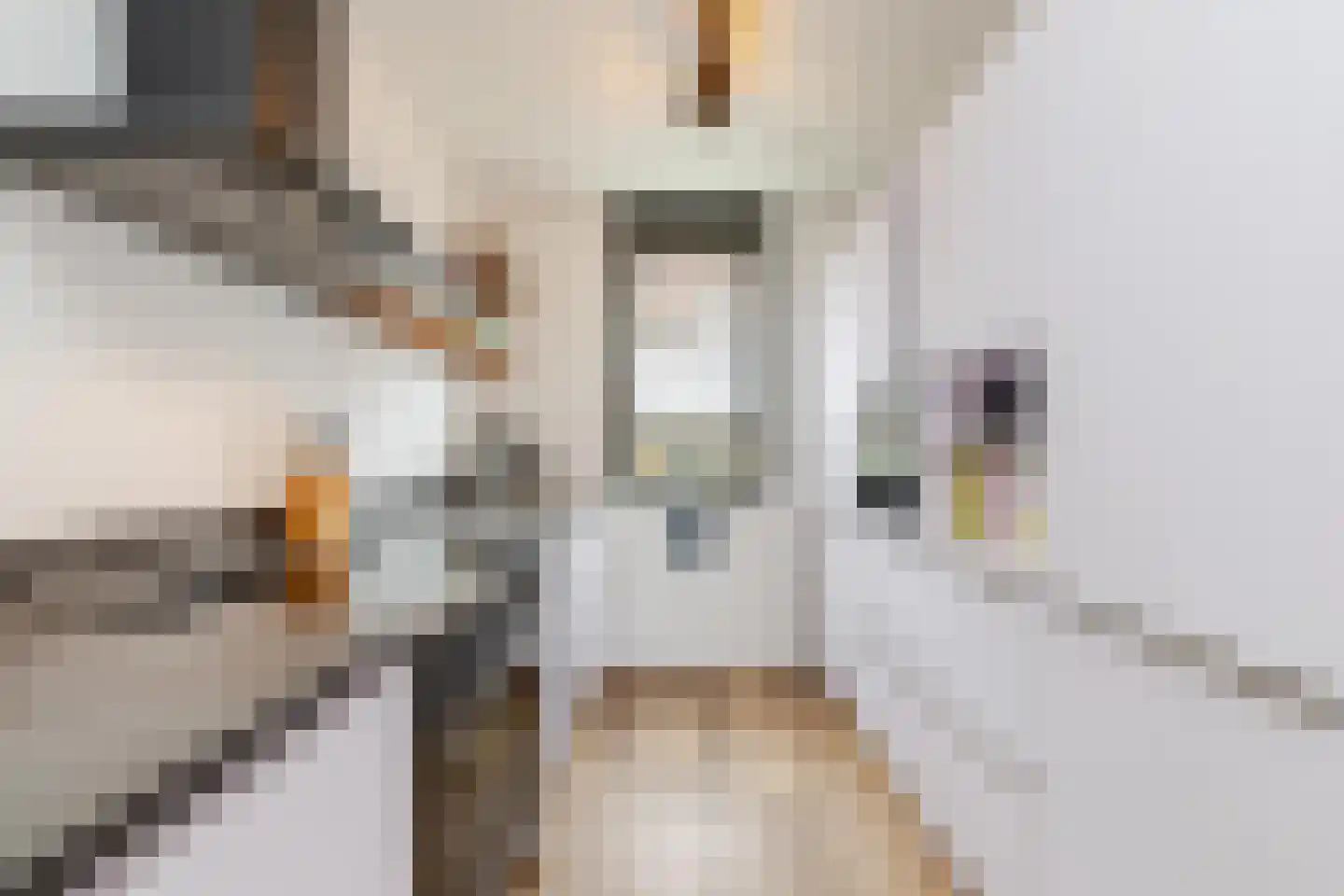 Verbrande Erven 8 Schiedam thumbnail 17