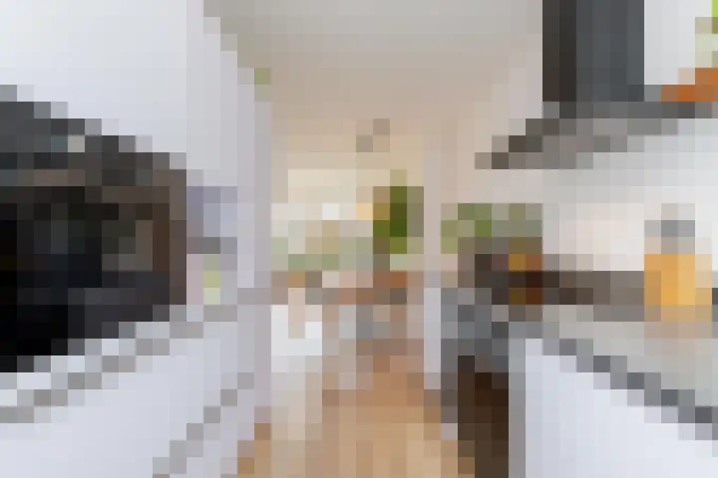 Verbrande Erven 8 Schiedam thumbnail 19