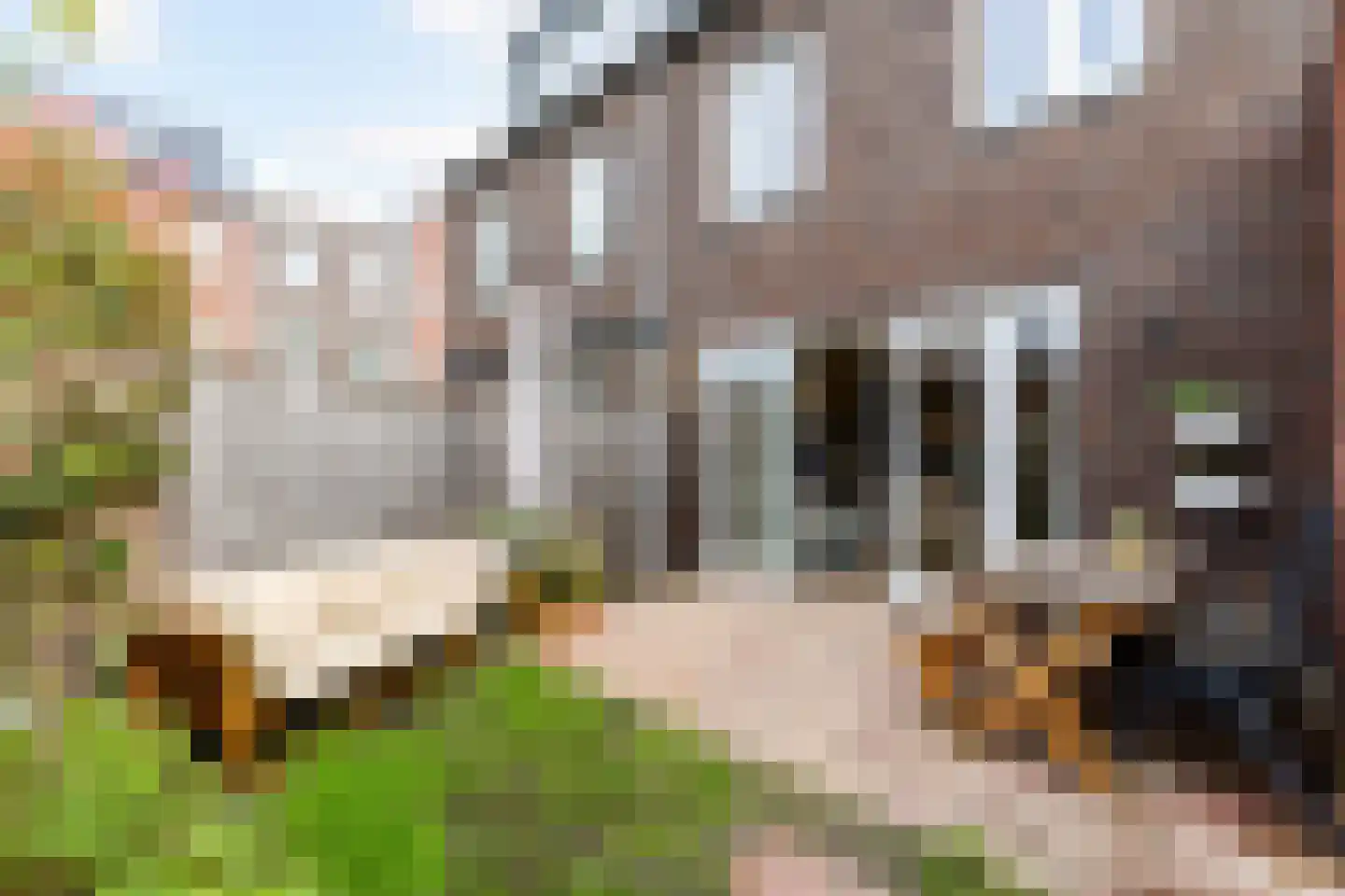 Verbrande Erven 8 Schiedam thumbnail 26