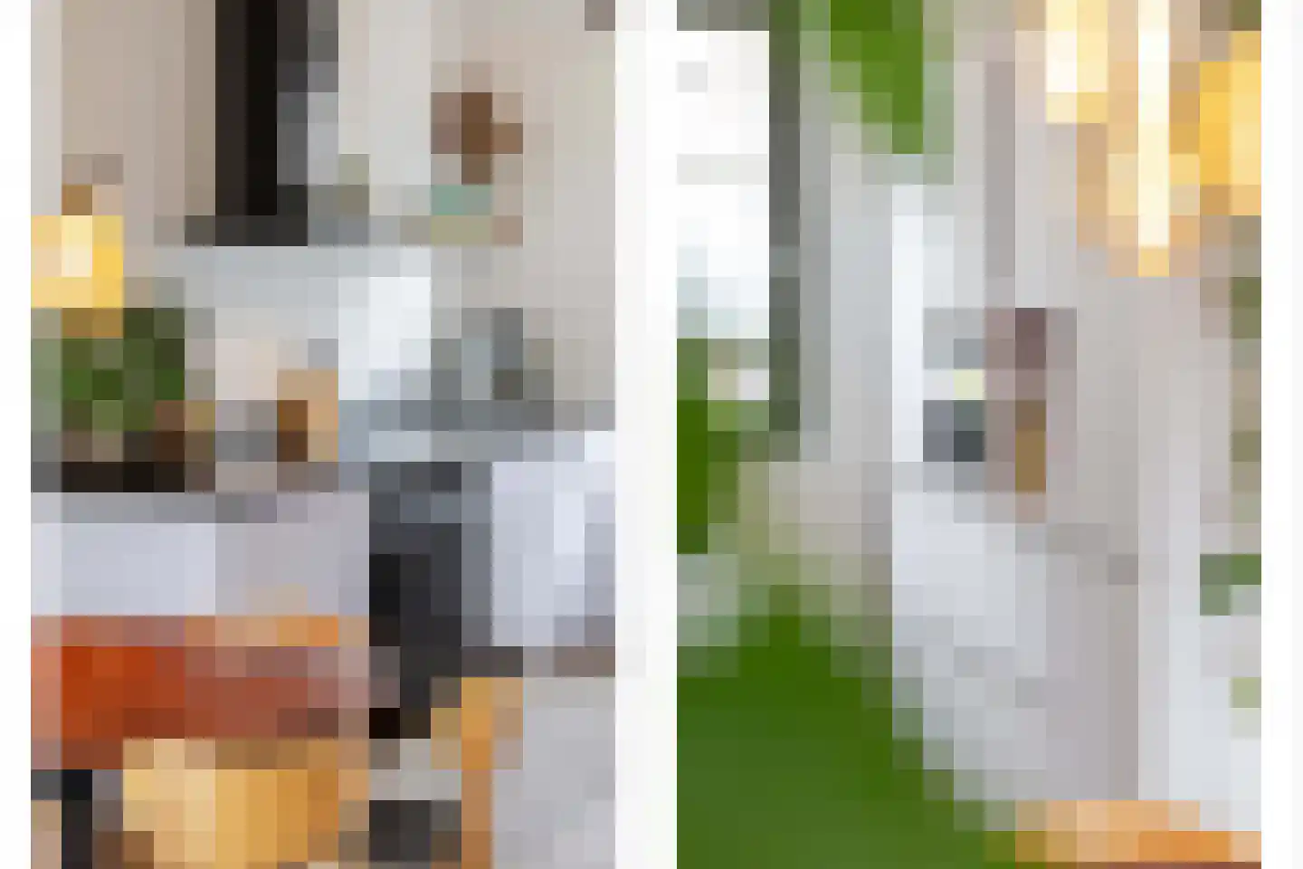 Verbrande Erven 8 Schiedam thumbnail 4