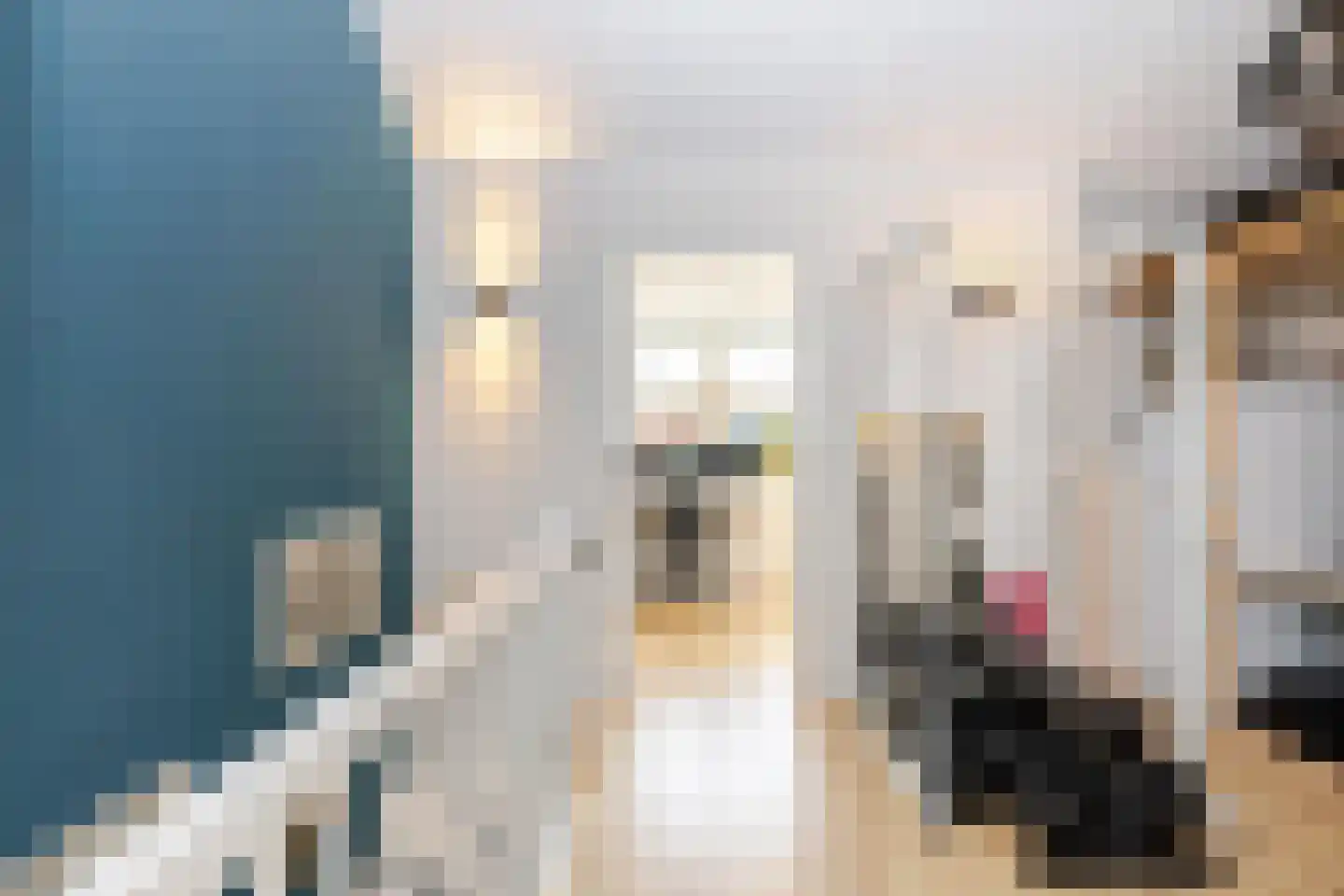 Verbrande Erven 8 Schiedam thumbnail 40