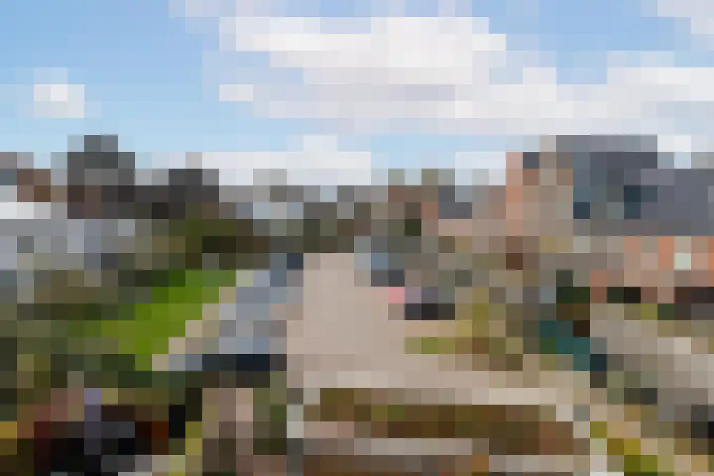 Verbrande Erven 8 Schiedam thumbnail 46