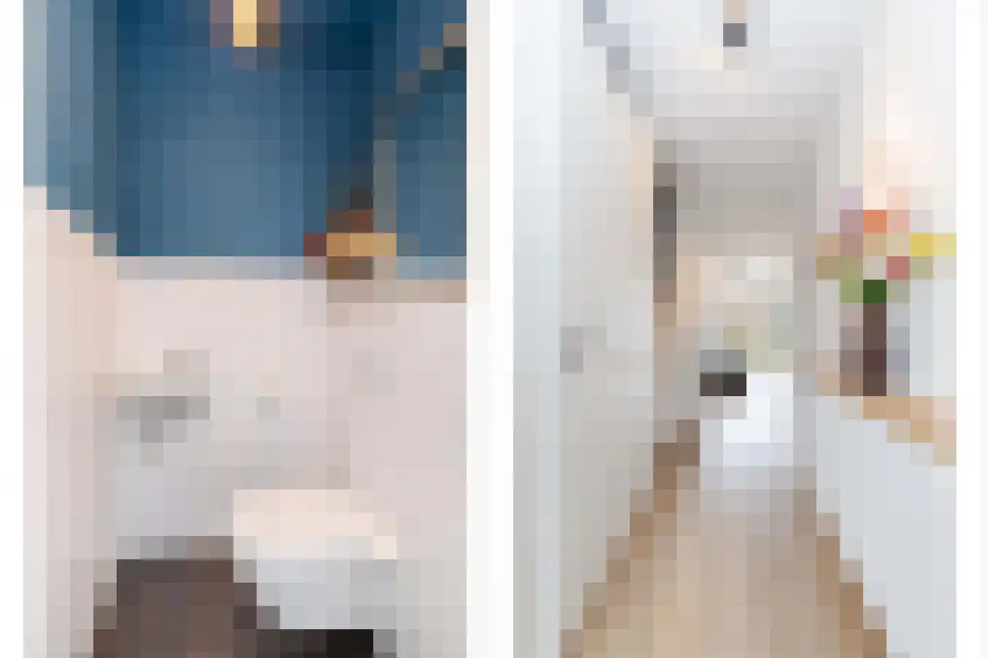 Verbrande Erven 8 Schiedam thumbnail 8
