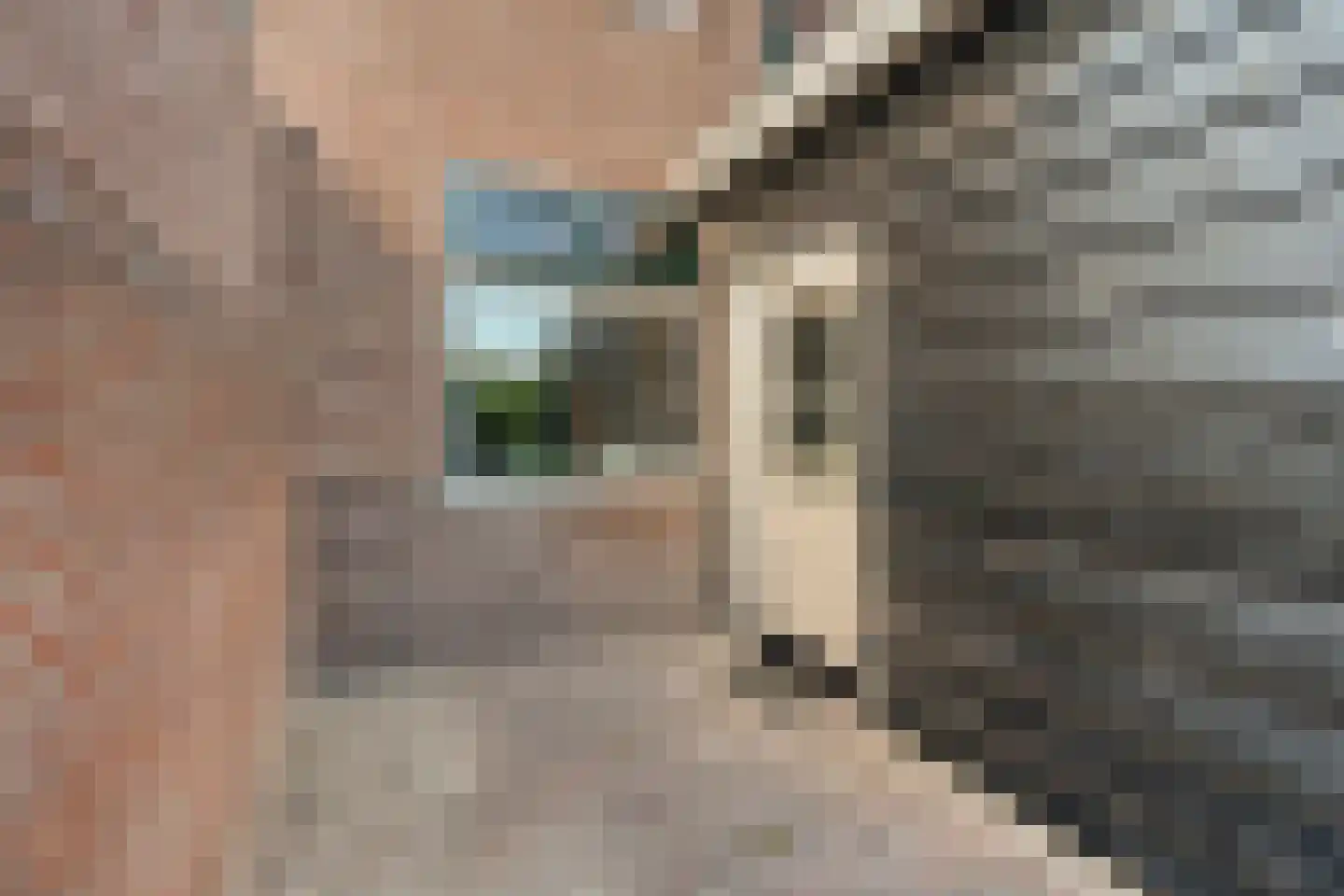 Verbruggestraat 17 's-Gravendeel thumbnail 34
