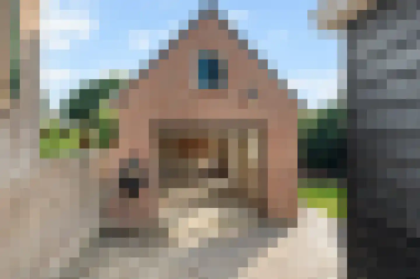 Verbruggestraat 17 's-Gravendeel thumbnail 37
