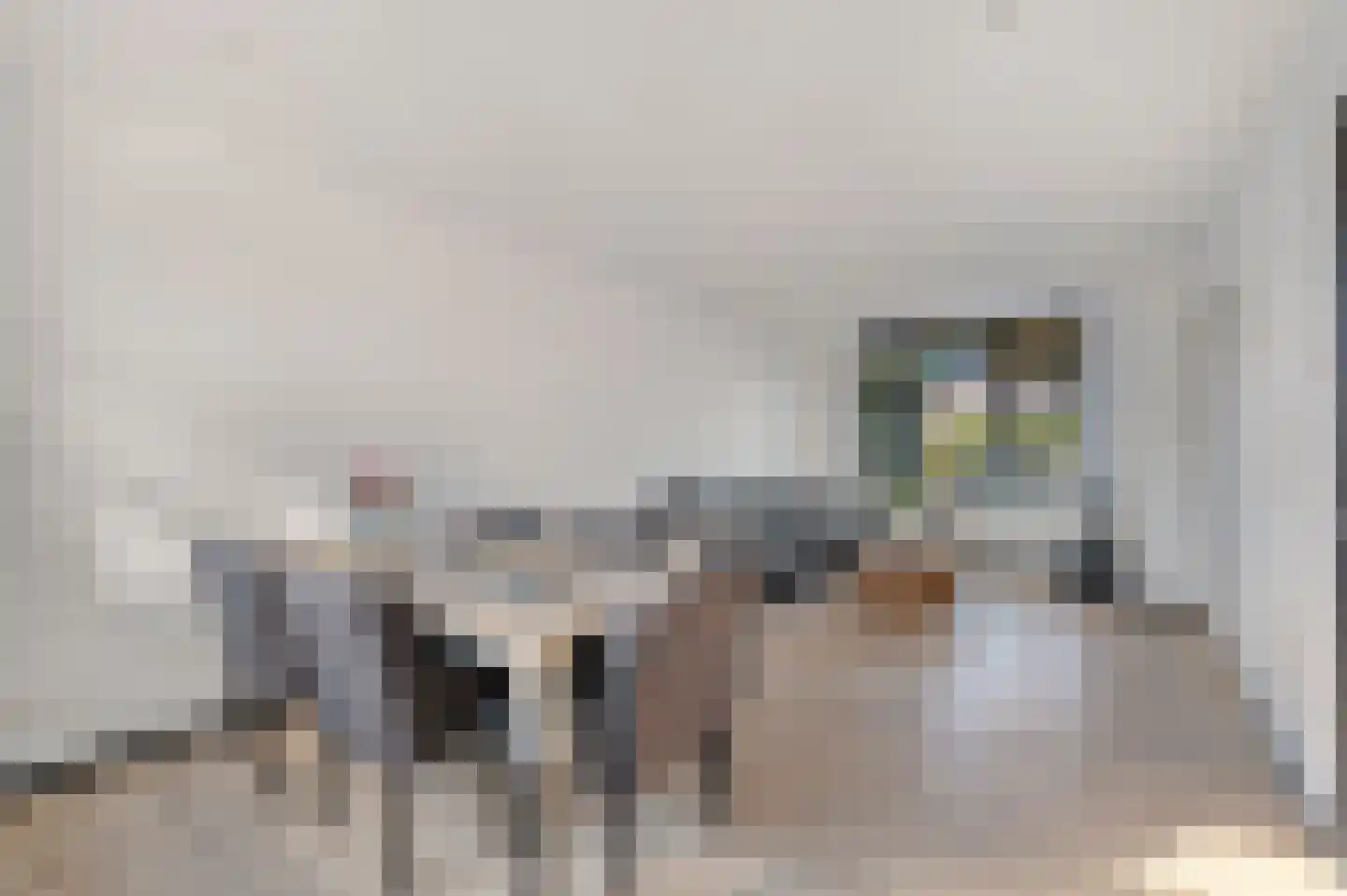 Verbruggestraat 17 's-Gravendeel thumbnail 8