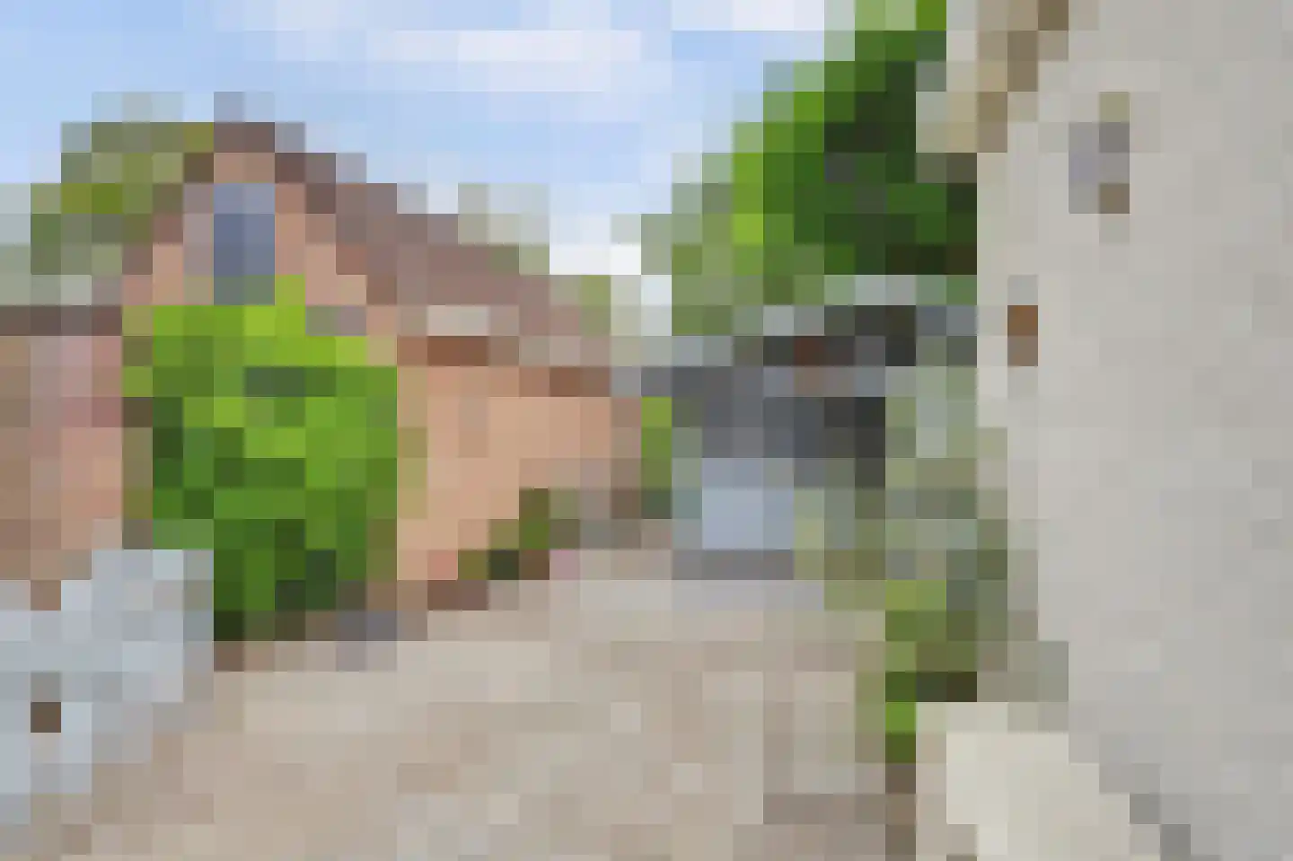 Verbruggestraat 20 's-Gravendeel thumbnail 34