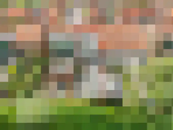 Verbruggestraat 24 's-Gravendeel thumbnail 43