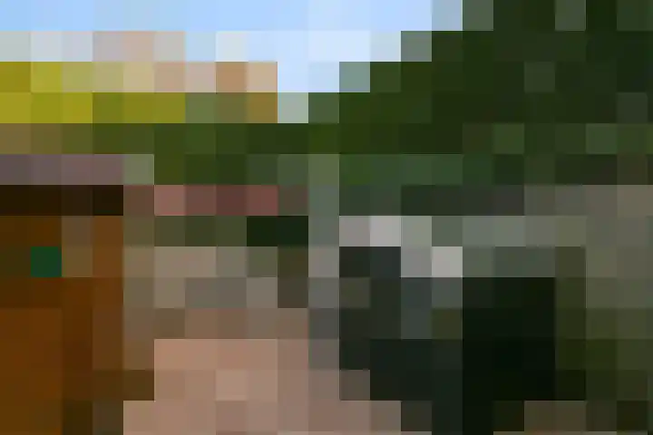 Verbruggestraat 38 's-Gravendeel thumbnail 23