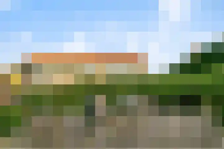 Verbruggestraat 38 's-Gravendeel thumbnail 4