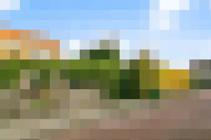 Verbruggestraat 38 's-Gravendeel thumbnail 6