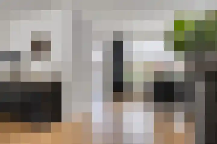 Verbrughweg 21 Lienden thumbnail 10