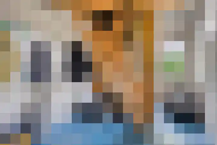 Verbrughweg 21 Lienden thumbnail 16