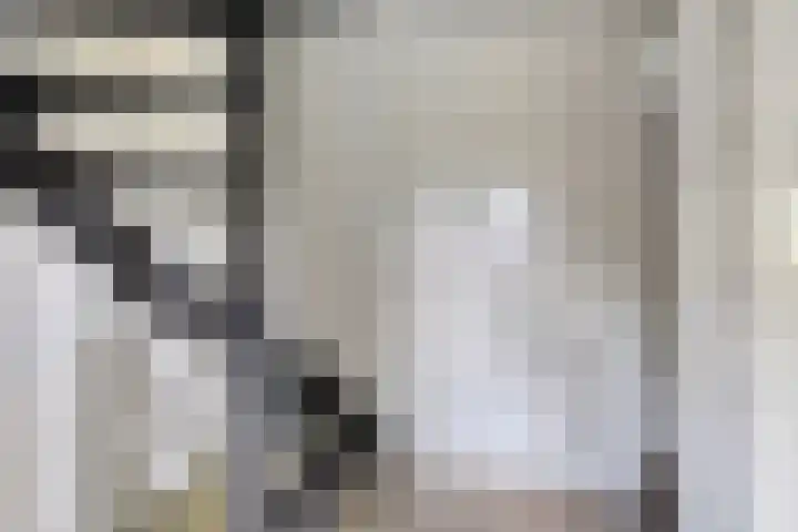 Verbrughweg 21 Lienden thumbnail 17