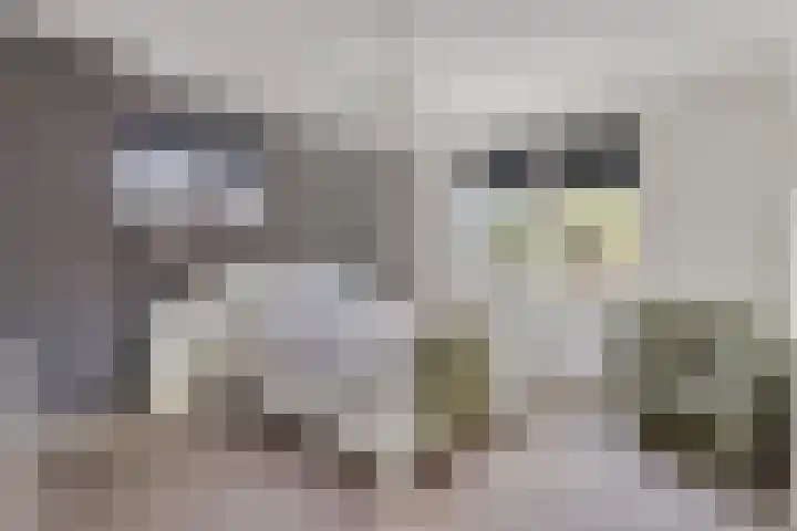 Verbrughweg 21 Lienden thumbnail 18