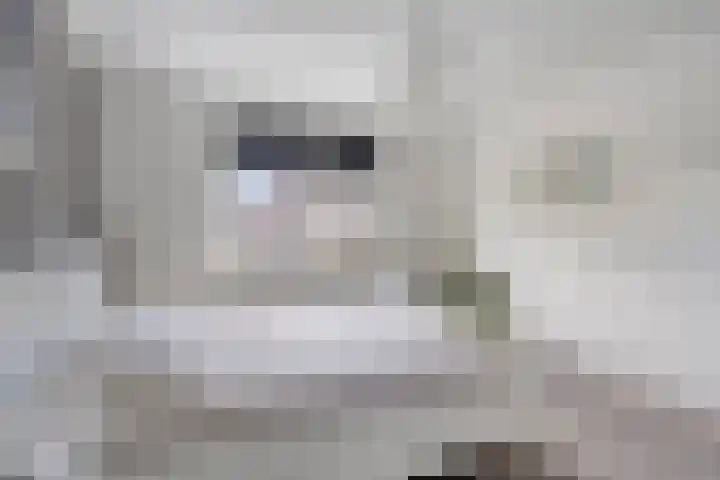 Verbrughweg 21 Lienden thumbnail 19