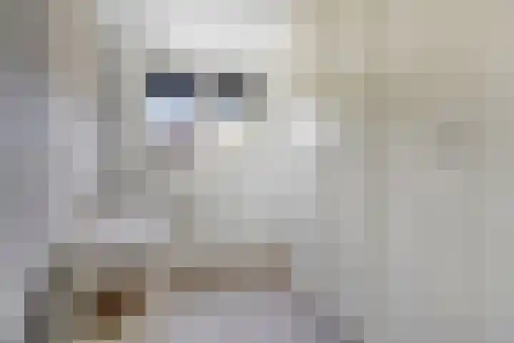 Verbrughweg 21 Lienden thumbnail 22