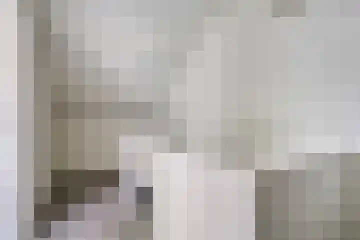 Verbrughweg 21 Lienden thumbnail 25