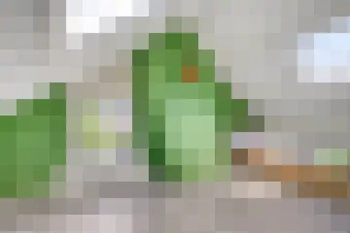 Verbrughweg 21 Lienden thumbnail 27