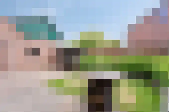 Verbrughweg 21 Lienden thumbnail 33