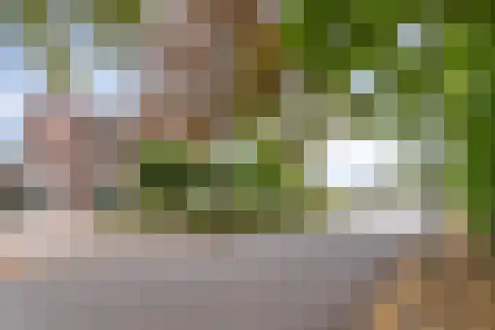 Verbrughweg 21 Lienden thumbnail 34