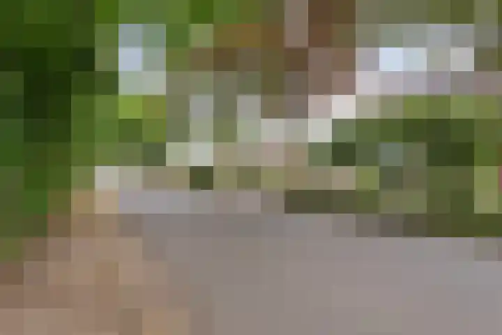 Verbrughweg 21 Lienden thumbnail 35