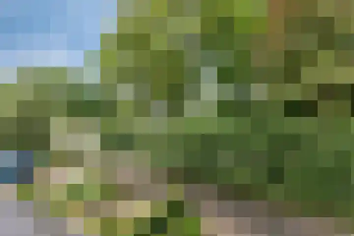 Verbrughweg 21 Lienden thumbnail 36