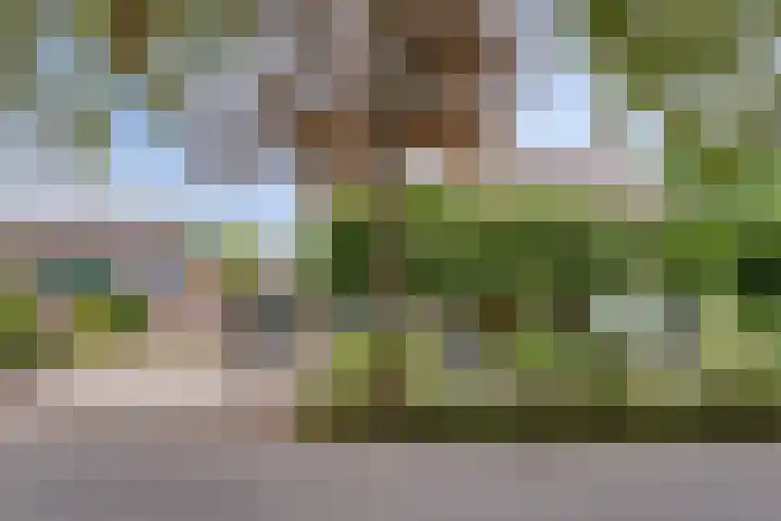 Verbrughweg 21 Lienden thumbnail 37