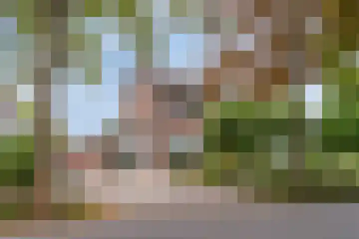 Verbrughweg 21 Lienden thumbnail 42
