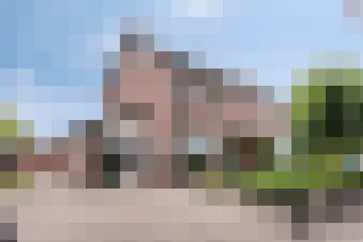 Verbrughweg 21 Lienden thumbnail 5