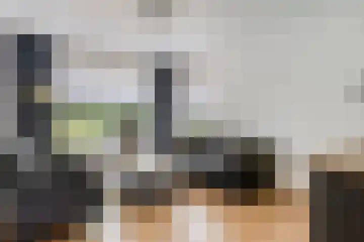 Verbrughweg 21 Lienden thumbnail 8