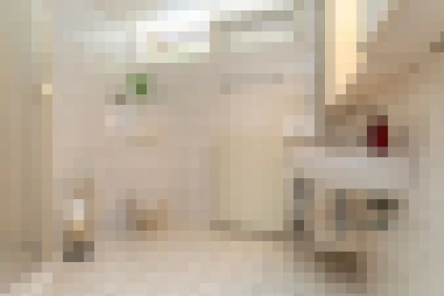 Verburghlaan 5 Poeldijk thumbnail 33