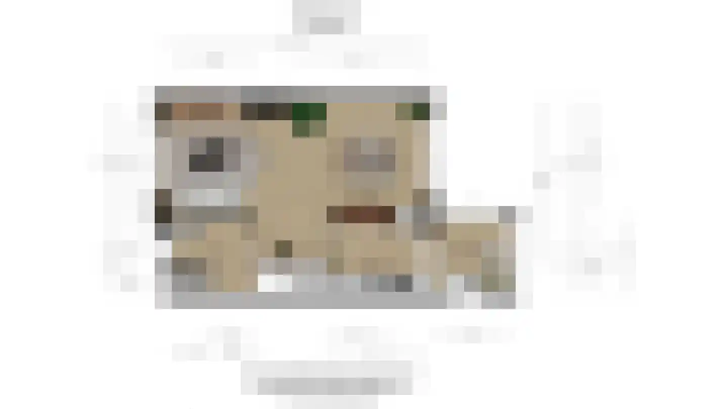 Verburghlaan 5 Poeldijk thumbnail 52