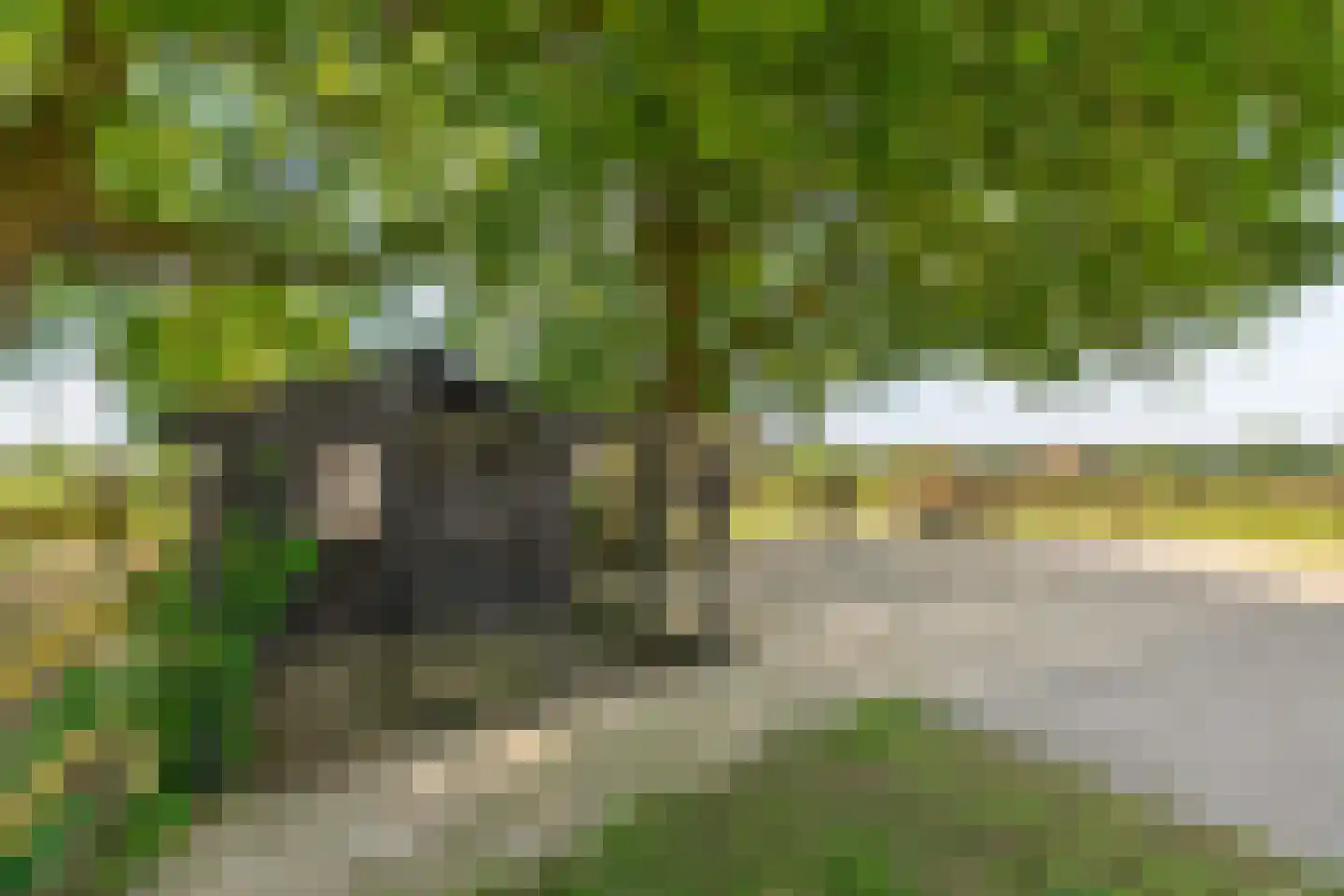 Verburgweg 2 Hasselt thumbnail 72