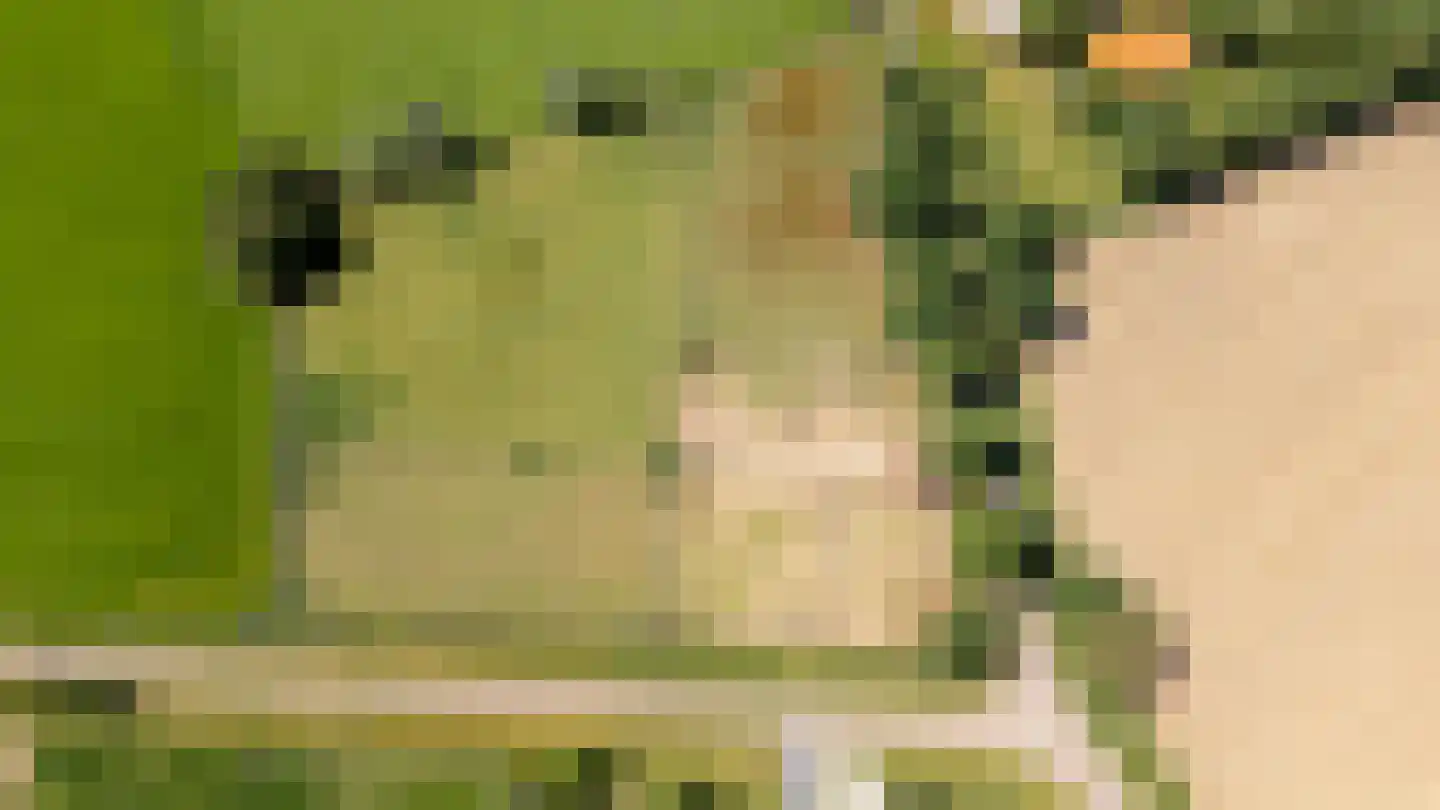 Verburgweg 2 Hasselt thumbnail 81
