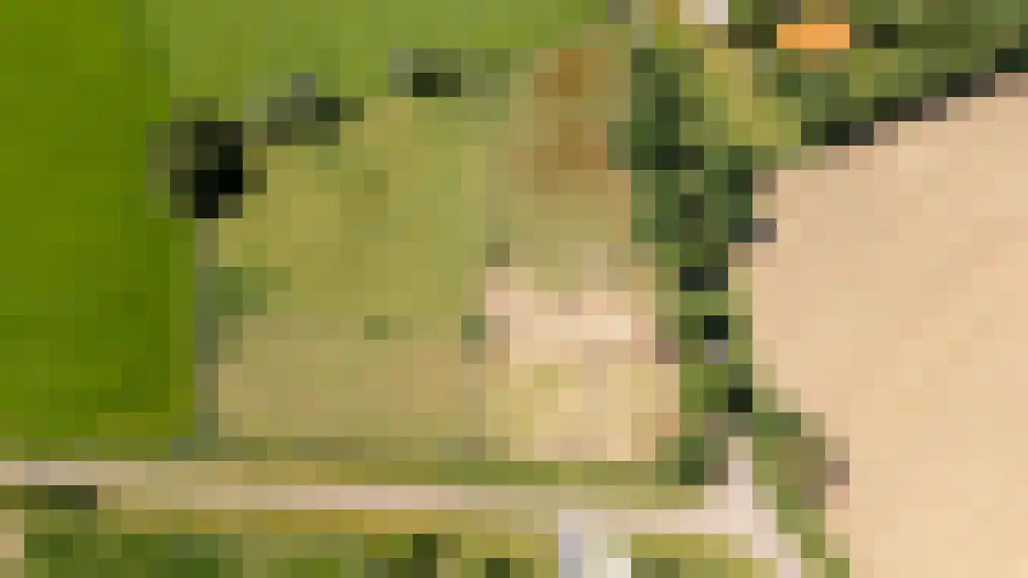 Verburgweg 2 Hasselt thumbnail 84