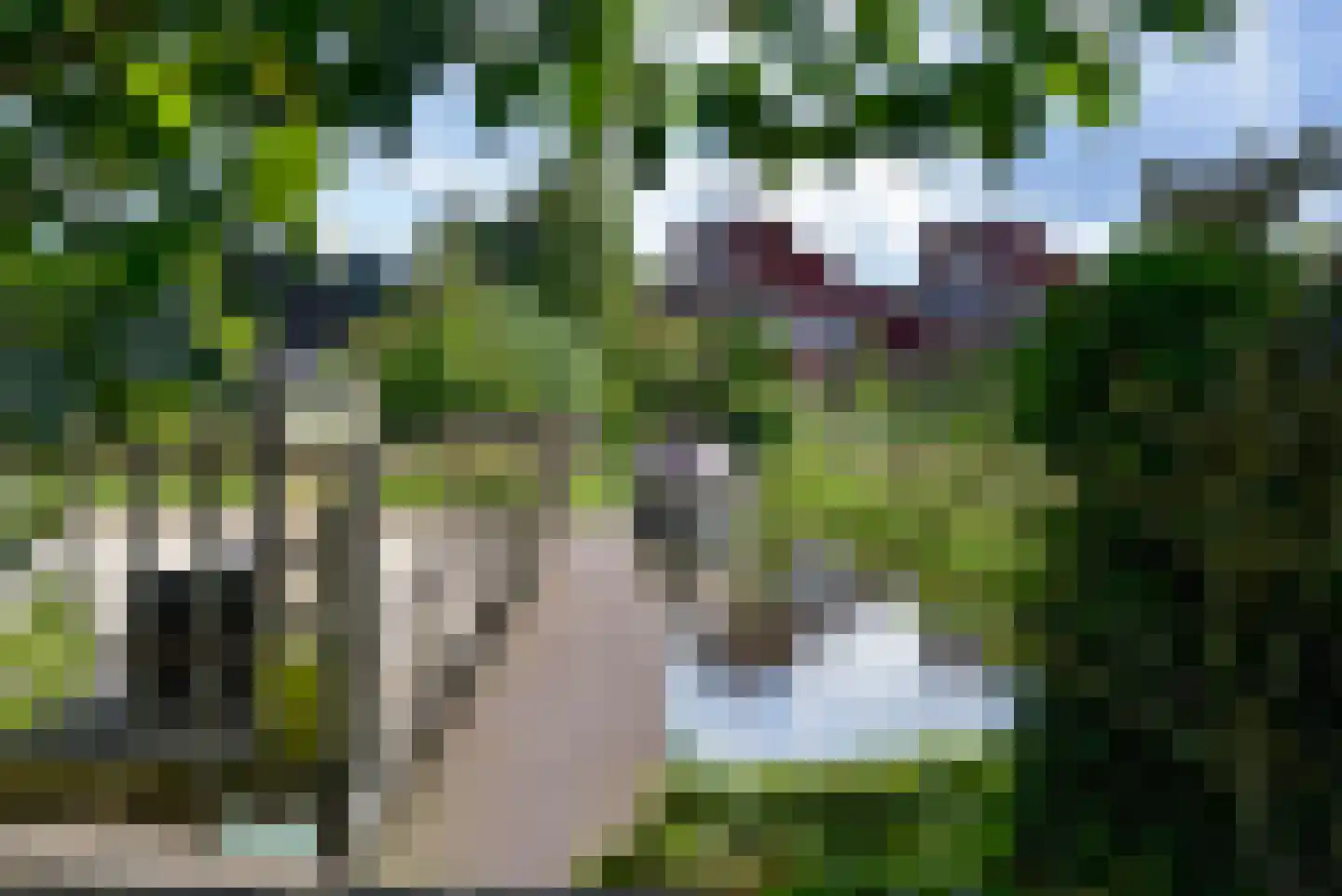 Verdeek 4 Broek in Waterland thumbnail 18