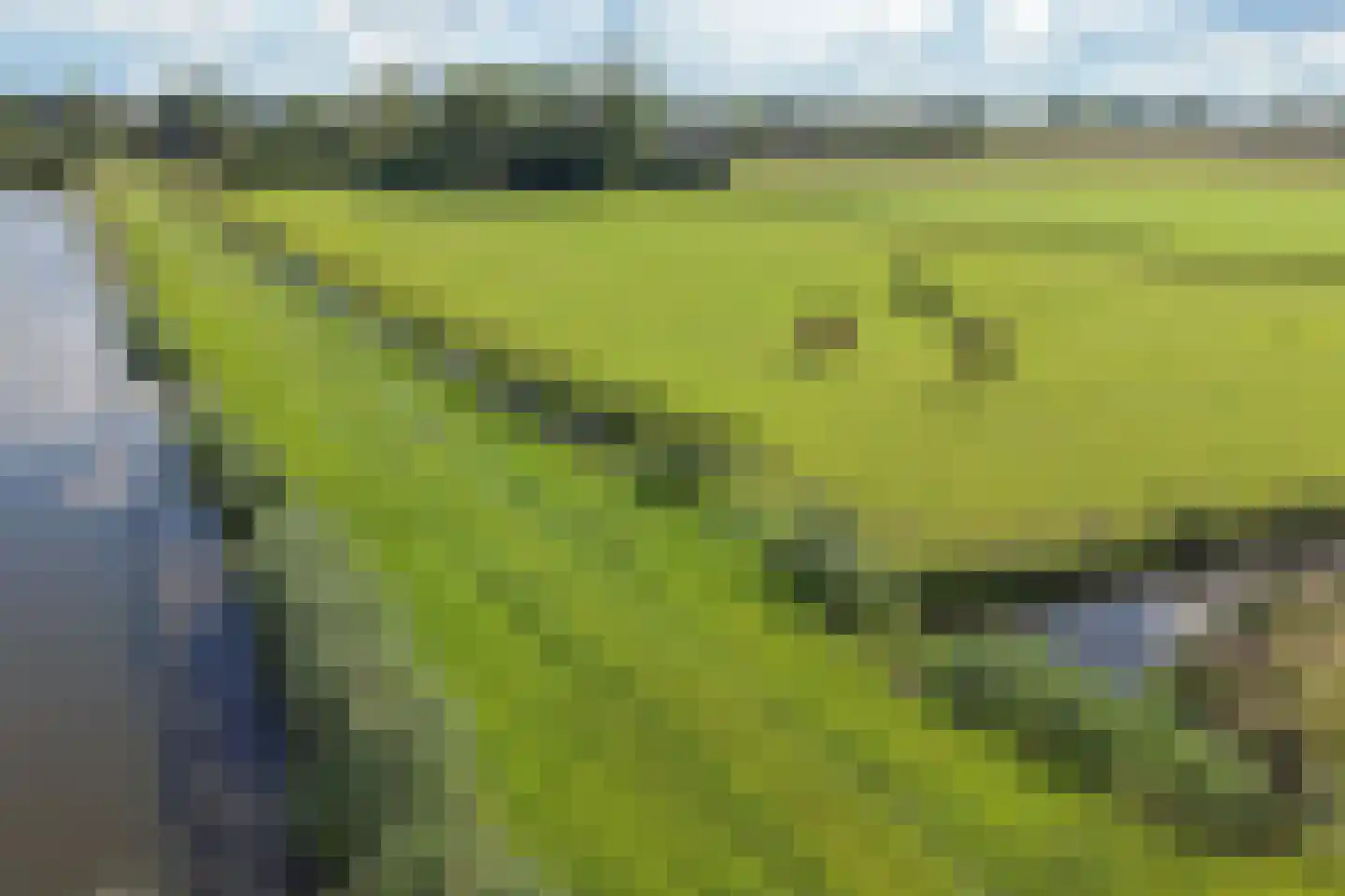 Verdeek 4 Broek in Waterland thumbnail 5