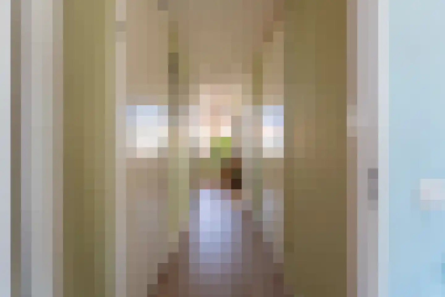 Verdeelstraat 35 Rijnsburg thumbnail 14