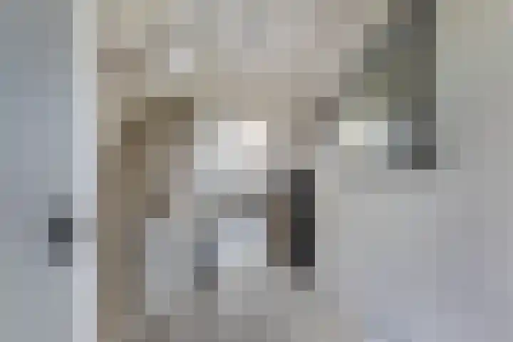 Verdeniusstraat 17 Drachten thumbnail 12