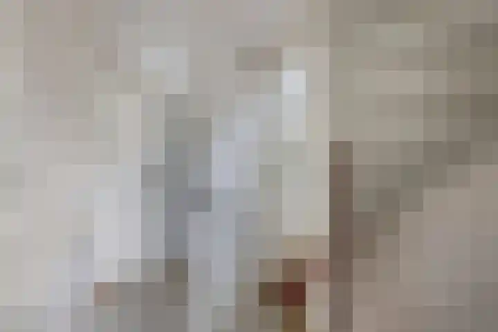 Verdeniusstraat 17 Drachten thumbnail 18