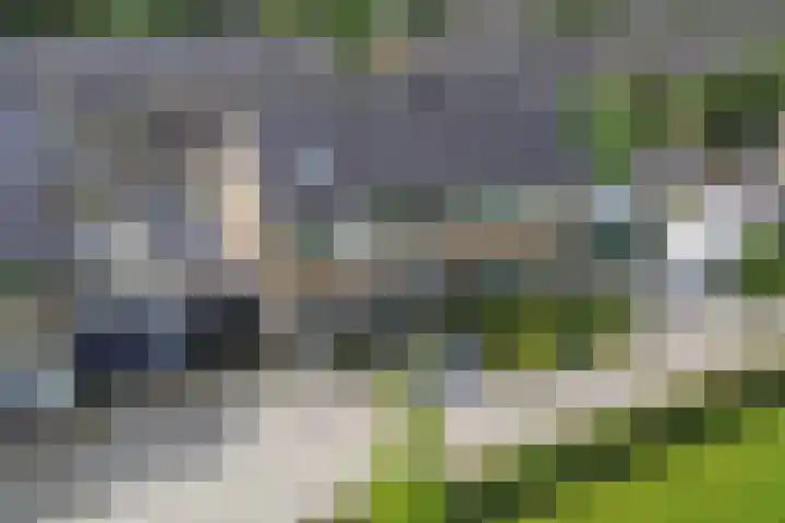 Verdeniusstraat 17 Drachten thumbnail 27