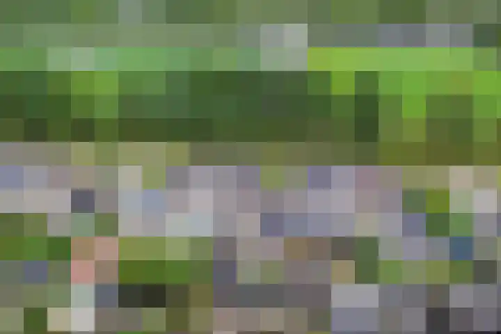Verdeniusstraat 17 Drachten thumbnail 31