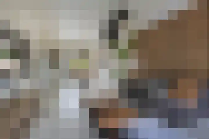 Verdeniusstraat 17 Drachten thumbnail 7