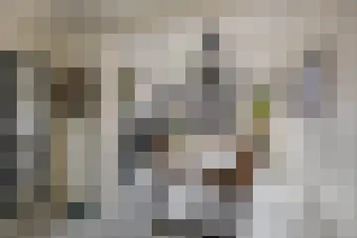 Verdeniusstraat 17 Drachten thumbnail 8
