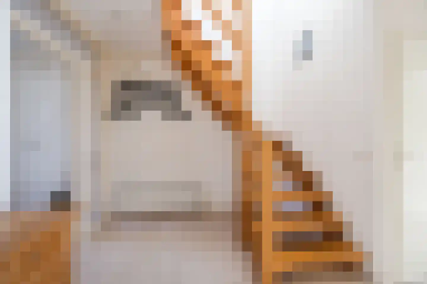 Verdiesenstraat 7 Zegge thumbnail 12