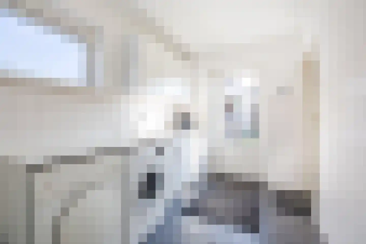 Verdiesenstraat 7 Zegge thumbnail 31