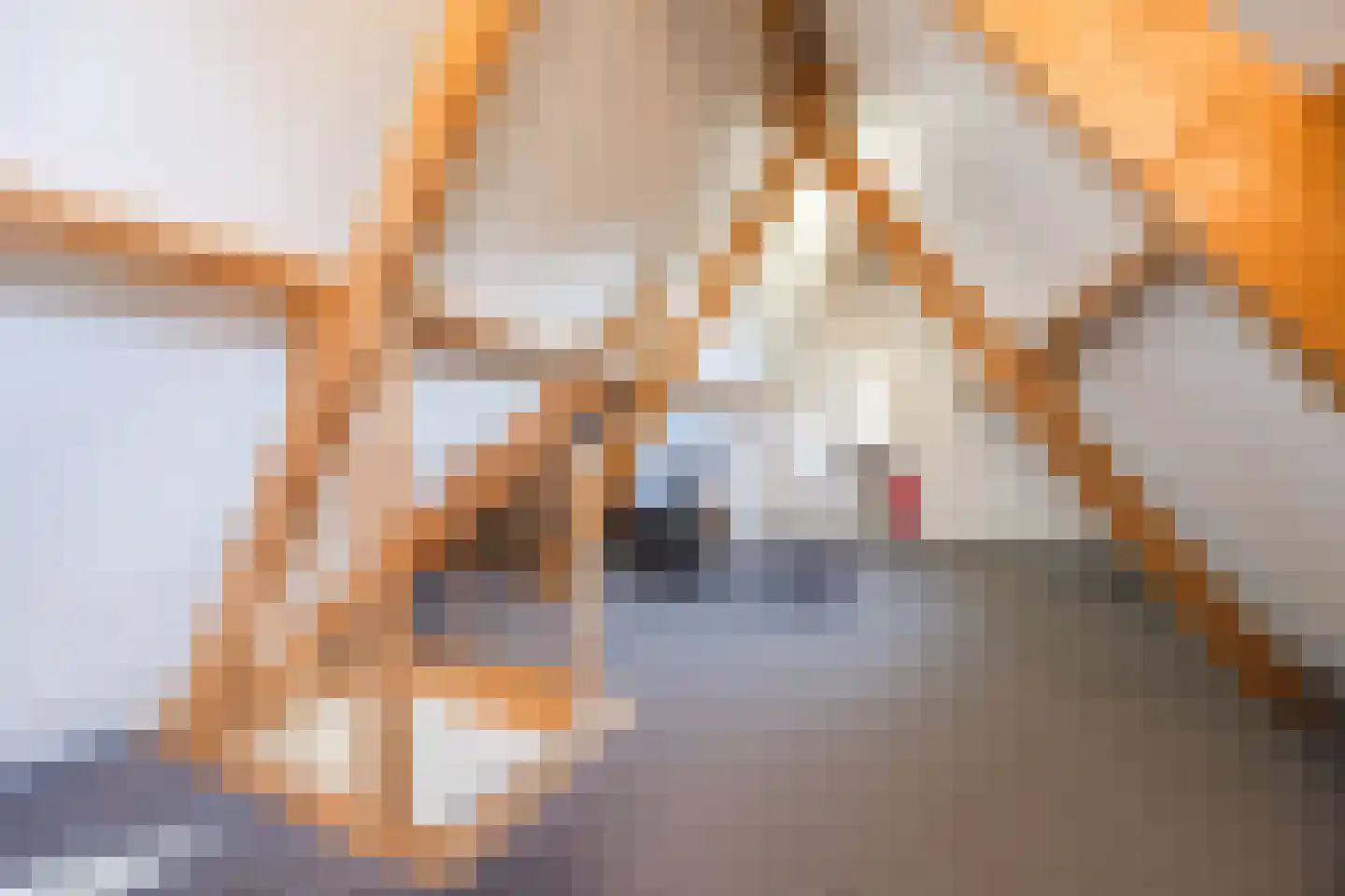 Verdiesenstraat 7 Zegge thumbnail 52